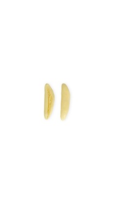 Cavatelli