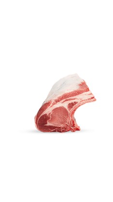 Costata