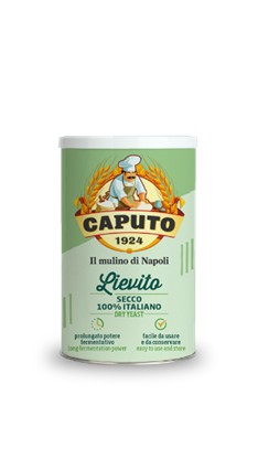 Lievito secco
