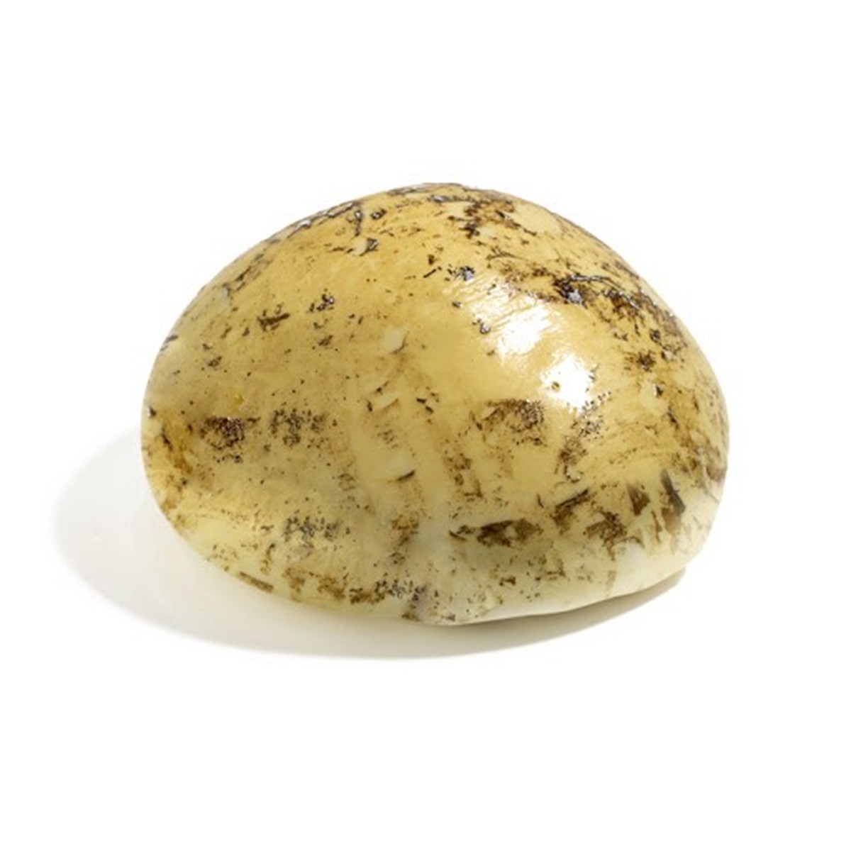 Mozzarella affumicata di Mucca