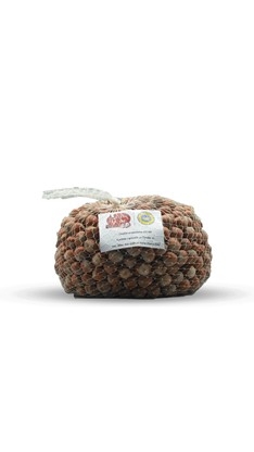 Nocciole in guscio
