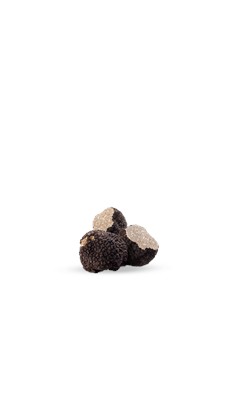 Tartufo nero di Bagnoli Irpino